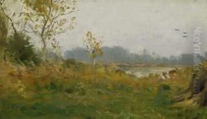 Birds Over A Field