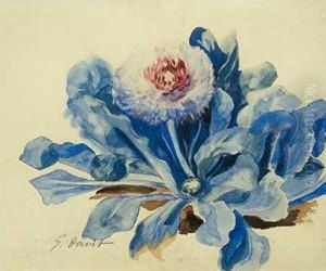 Flores Azules by G. Davis
