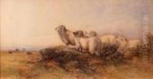 On The Moors