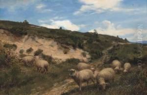 A Moorland Pasture