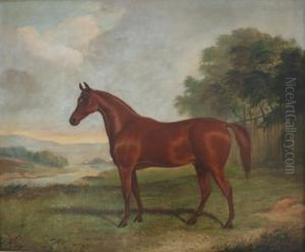 A Light Bay Horse In A Field - view 1