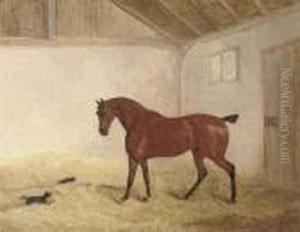 A Bay Hunter In A Stable Interior With A Dog Chasing A Cat - view 1