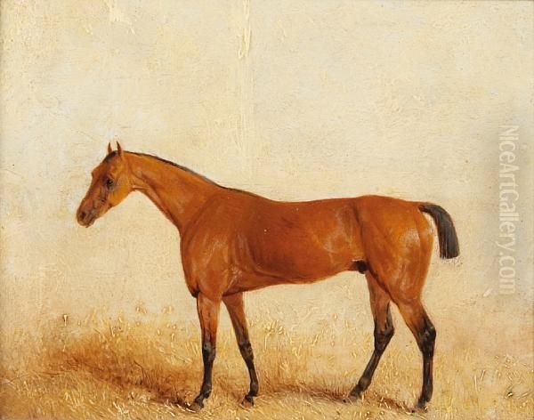 Moses, Winner Of The Derby 1822 - view 1