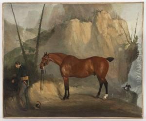Horse And Rider Horse And Rider