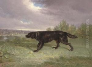 A Hound In A Landscape A Hound In A Landscape