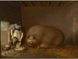 A Sow Of The Large Breed