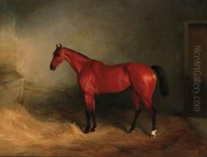 A Bay Hunter In A Stable by Richard Barrett Davis
