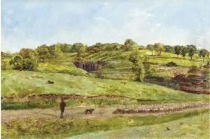 Droving Sheep On Hampstead Heath