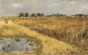 A Field Of Corn