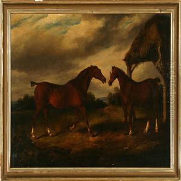Two Horses In Ameadow - view 1