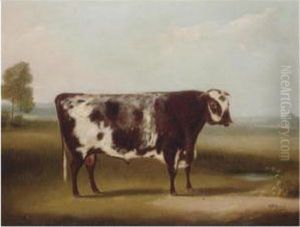 Portrait Of A Bull by William Henry Davis