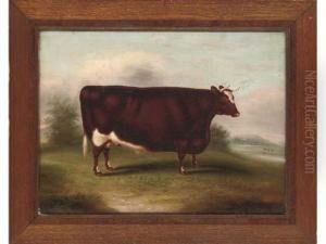 Portrait Of A Prize Winning Short Horned Ox In A Landscape by William Henry Davis