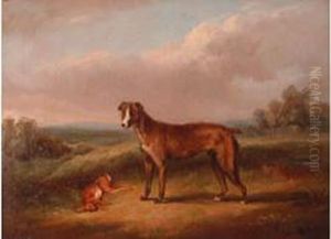 W.h.
Portrait De Chien De Chasse by William Henry Davis