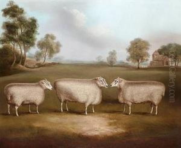 Three Prize Rams In A Landscape - view 1