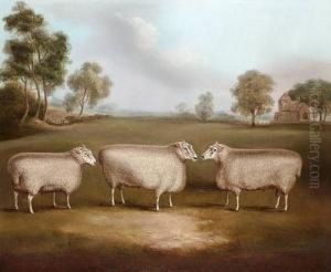 Three Prize Rams In A Landscape by William Henry Davis