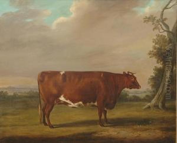 Portrait Of A Prize Bull In An Extensive Landscape - view 1