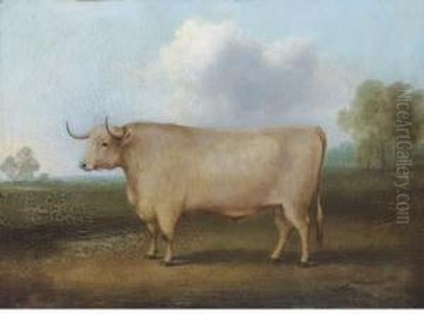A Longhorned Bull In A Landscape - view 1