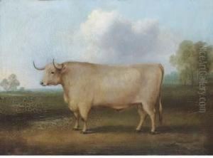 A Longhorned Bull In A Landscape by William Henry Davis