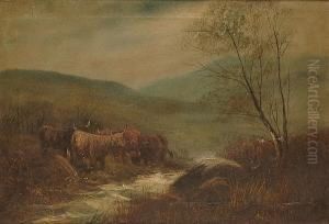Highland Cattle by William Henry Davis