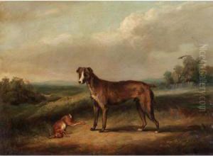 Guarding The Hare