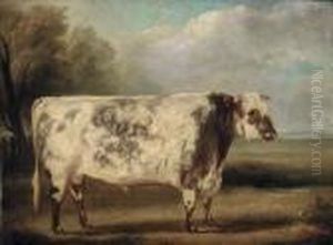 A Prize Bull In A Field by William Henry Davis