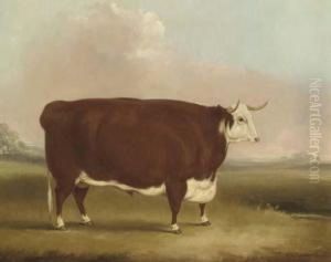 A Prize Bull In A Landscape