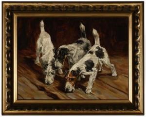 Wirehaired Terrier by Thomas C. S. Benham