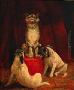 Top Cat, Scene Depicting A Cat On A Red Pouffe With Two Pug Dogs Below by Thomas C. S. Benham