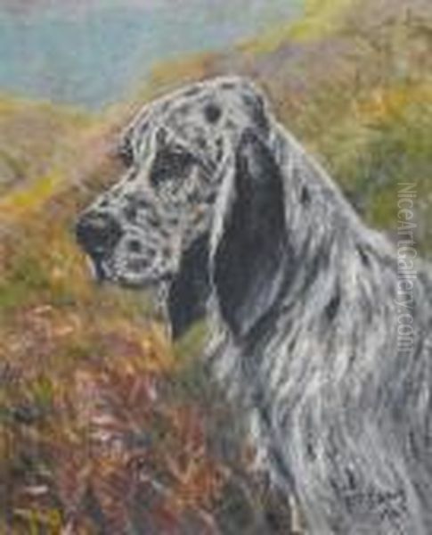 An English Setter - view 1