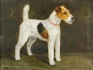 Vickery Baghdad; Wire Fox Terrier by Thomas C. S. Benham