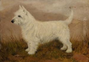 Terrier In A Landscape, Champion Morven. by Thomas C. S. Benham