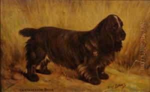 Spaniel In A Landscape, Champion Clareholm Dora. by Thomas C. S. Benham