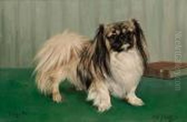 Portrait Of The Pekingese 'tang-hi' - view 1