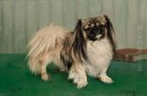 Portrait Of The Pekingese 'tang-hi' by Thomas C. S. Benham