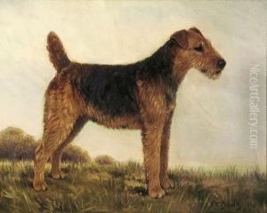Airedale In A Landscape Airedale In A Landscape