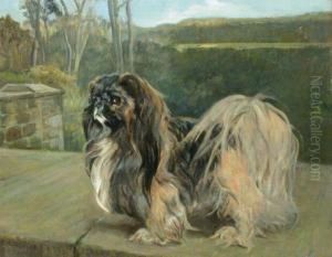 Portrait Of A Pekingese by Thomas C. S. Benham