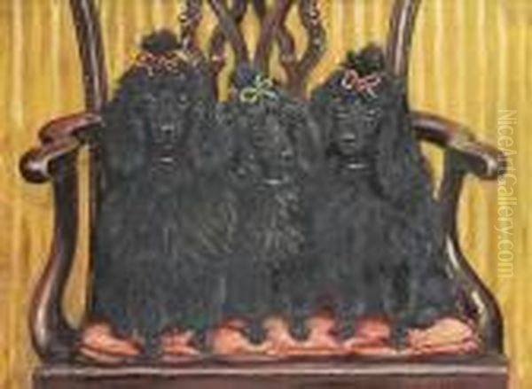Three Of A Kind - Portrait Of Three Black Miniature Poodles - view 1
