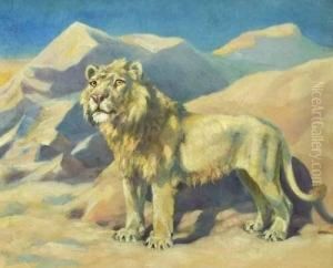 Lion In The Desert
