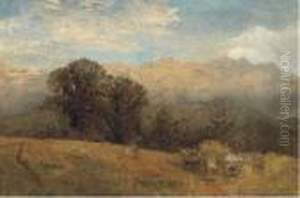 Harvesting Amid Showers - view 1