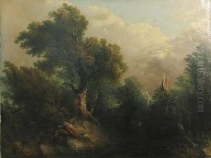 A Blasted Tree By A River