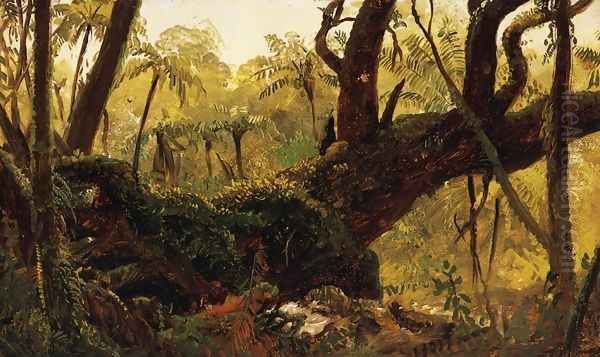Rain Forest, Jamaica, West Indies - view 1