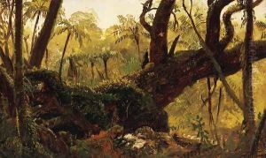 Rain Forest, Jamaica, West Indies by Frederic Edwin Church