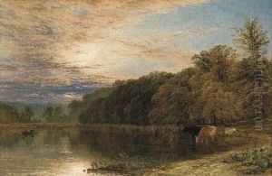 Pool In Sutton Park, Near Birmingham
