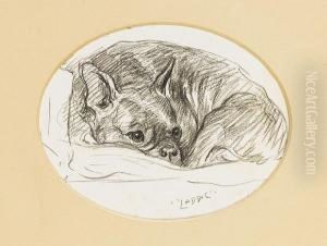 Laddy by Lucy Dawson