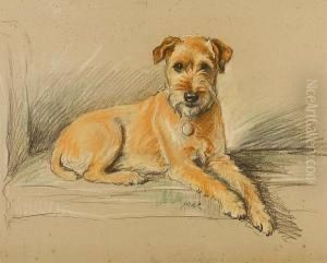 Mr Tailwagger by Lucy Dawson