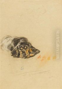 Tan Toes At Nine Months Old by Lucy Dawson
