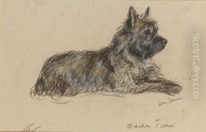 A Cairn Terrier by Lucy Dawson