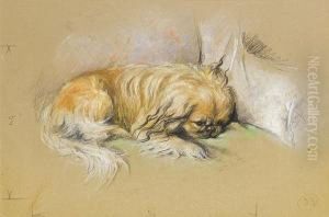 A Pekinese by Lucy Dawson