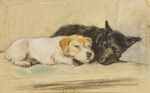 An Afternoon Nap by Lucy Dawson