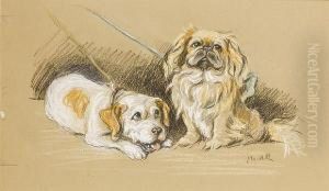 Two Friends by Lucy Dawson